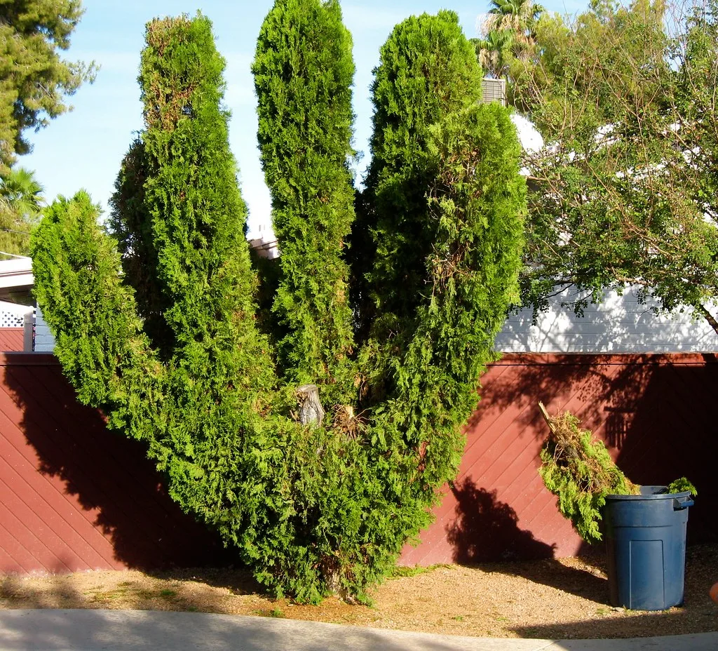 Casa quinta en Sanagasta con pileta y arboleda · foto 2
