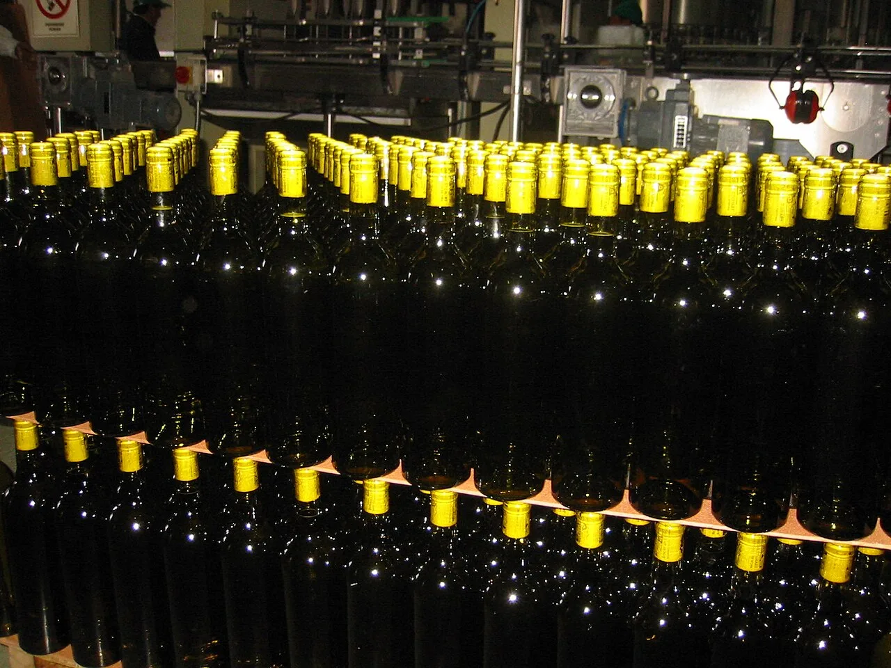 Torrontés riojano y vinos de Chilecito, envío a toda la provincia · foto 2