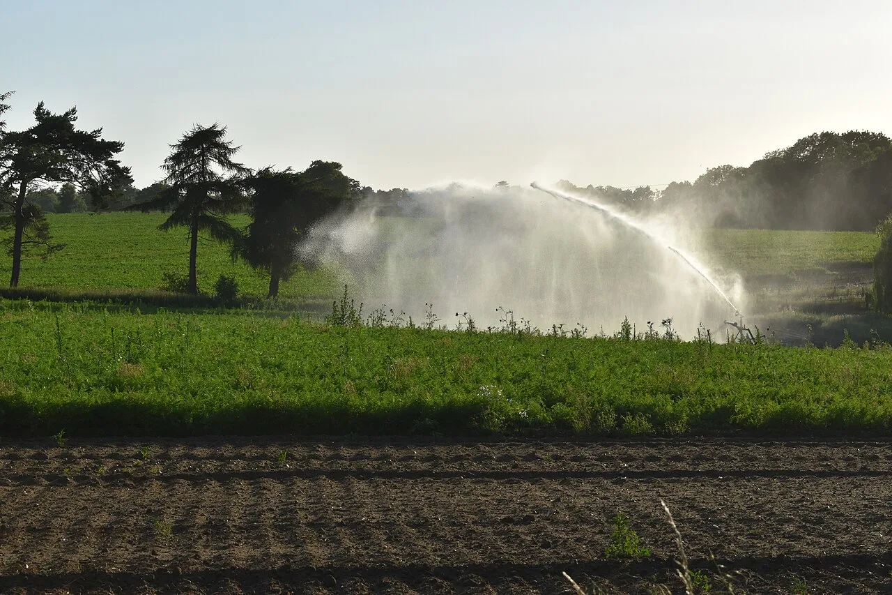 Finca de 12 hectáreas con olivos en producción, Nonogasta · foto 2